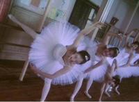 这位擅长残酷青春题材的电影导演，竟然拍过如此另类的动画？！