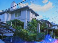 岩井俊二力作，《花与爱丽丝杀人事件》，你看过吗