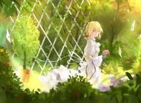 动漫杂谈：《紫罗兰的永恒花园》剧场版有哪几条线？