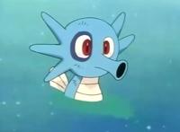 精灵宝可梦：小霞在动画中收服的宝可梦，基本算是捡来的