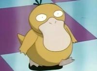 精灵宝可梦：小霞在动画中收服的宝可梦，基本算是捡来的