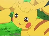 《精灵宝可梦》，那些拥有心形标记的精灵，你认得出来吗？