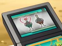 《精灵宝可梦》，那些拥有心形标记的精灵，你认得出来吗？