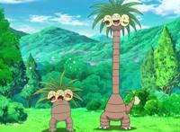 精灵宝可梦：阿罗拉形态神奇宝贝，与普通相比，果然都营养丰富