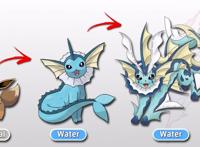 精灵宝可梦：伊布Mega进化，仙子伊布深中我心，叶伊布是草中精灵