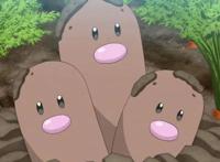 《宝可梦》奇闻趣事：小矮人夕蒲，小枫与小南的训练家设定！