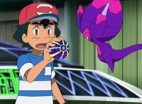 神奇宝贝问答：动画中出现的究极异兽们，小智一行人收服了哪些？