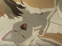 想哭的我带上了猫的面具：少年的烦恼，青桔酸中带甜的味道