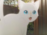 想哭的我戴上了猫的面具：宫崎骏式的奇幻动画电影，却终归于庸俗