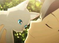 铲屎官注意了《想哭的我戴上了猫的面具》，将2020年6月5日上映！