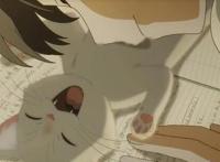 铲屎官注意了《想哭的我戴上了猫的面具》，将2020年6月5日上映！