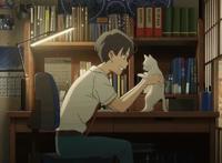 《想哭的我戴上了猫的面具》：愿你身上有阳光的味道