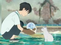 《想哭的我戴上了猫的面具》：这么纯情浪漫的电影，看得我想哭