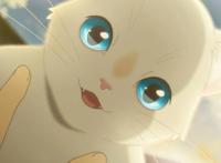 《想哭的我戴上了猫的面具》：这么纯情浪漫的电影，看得我想哭