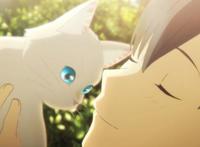 剧场版动画「想哭的我戴上了猫的面具」先行映像