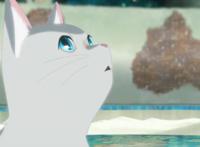 6月上映，冈妈制药？电影《想哭的我戴上猫面具》，都给爷哭！