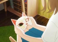 温柔的夏日清新恋曲，动画《想哭泣的我戴上了猫的面具》观后简评