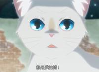 想哭的我戴上了猫的面具：离异家庭会对孩子产生多大的心理负担？