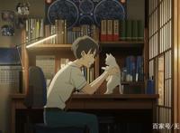 想哭的我戴上了猫的面具：愿你我都拥有阳光，得到心爱之人的宠爱