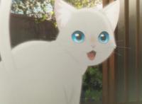 如《千与千寻》那般治愈心灵，动漫《想哭的我戴上了猫的面具》