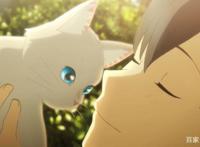 《想哭的我戴上猫的面具》，现世残酷，成为猫会经历怎样的人生？