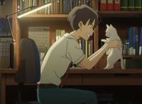 想哭的我戴上了猫的面具：未闻花名作者新作，少女为爱情变成了猫