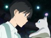 《想哭的我戴上了猫的面具》:爱意需要表达，勇敢面对内心