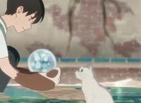 《想哭的我戴上了猫的面具》：不要轻易放弃当人的机会