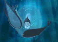 提名奥斯卡的动画片，最新上映的《狼行者》不简单