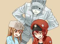 寓教于乐，让你看着动漫快乐学习，近几年的科普类动漫很不错哦