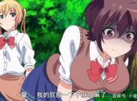 四个沙雕妹子荒岛求生，迫于生存又该如何分工？《你遭难了吗？》