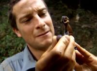 7月最奇妙又搞笑的沙雕科普动画，各种撒娇反差萌，令人捧腹