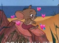 盘点动漫里的萌宠原型，你了解过哪些？