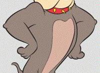 盘点动漫里的萌宠原型，你了解过哪些？