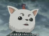 动漫中的少女与狗，如果狗子不能骑，那养它还有何用