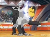 《精灵宝可梦》颜值与实力并存五只犬类宝可梦，都有共同特征。