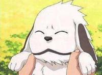 狗年将至，盘点二次元里那些萌犬，哪个你更喜欢？