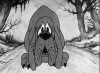 你要的动漫明星狗都在这里，原型里面你对哪一只最钟情呢？