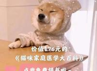 儿时动漫中狗狗的原型