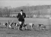 兔子杀手比格犬，以狗狗为原型的卡通人物，你没听过但肯定见过
