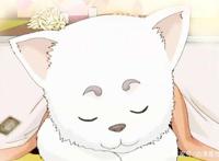 盘点动漫里的萌犬，谁说漫画作者都是猫奴？