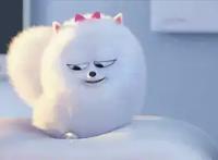 盘点动漫里的12只萌犬，祝大家狗年大吉！