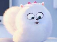 盘点动漫里的12只萌犬，祝大家狗年大吉！