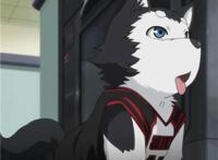 盘点动漫里的12只萌犬，祝大家狗年大吉！