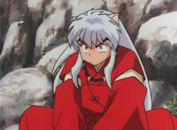 狗年到了，这一部关于“犬”的经典动漫一定会让你兴奋不已！