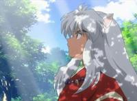 动漫中的那些狗狗，杀殿最帅了