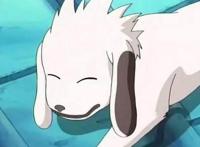 动漫中的那些狗狗，杀殿最帅了