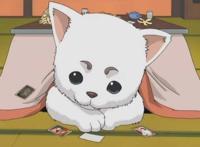 日漫中那些“狗”角色，犬夜叉都只排在第二位，狗节第一会是谁？