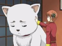 日漫中那些“狗”角色，犬夜叉都只排在第二位，狗节第一会是谁？