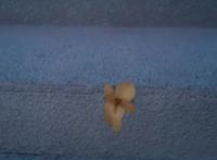 魔道祖师：天道好轮回，苍天饶过谁，先后小纸人对比很明显